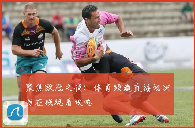 聚焦欧冠之夜：体育频道直播场次与在线观看攻略